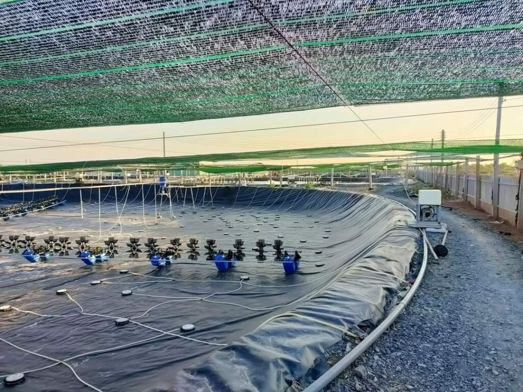 Bể bạt HDPE trong nuôi trồng thủy sản