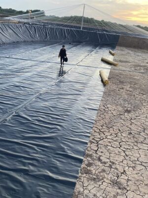 Màng chống thấm sân thượng HDPE