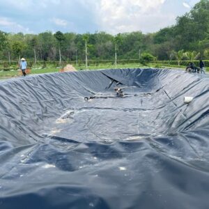 Bạt hdpe dày 0,3mm lót hồ thuỷ sản