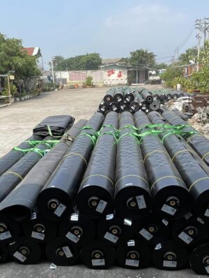 Bạt lót ao hồ HDPE ở Bình Thuận chứa nước nuôi tôm cá