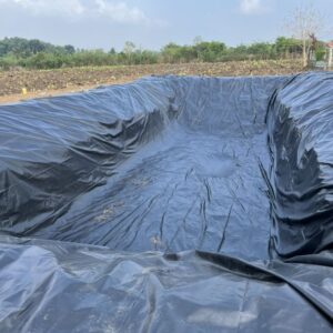 Bạt hdpe dày 0,3mm lót hồ thuỷ sản