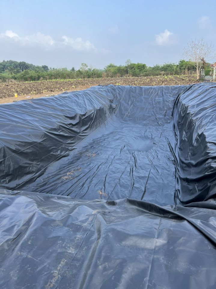 Bạt hdpe dày 0,3mm lót hồ thuỷ sản Bạt hdpe dày 0,3mm lót hồ thuỷ sản