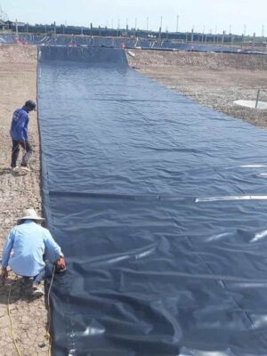 Thi công lót hồ chứa nước tưới tiêu bạt HDPE