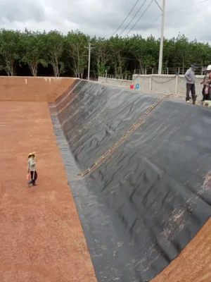 Thi công trải bạt HDPE lót hồ nuôi tôm