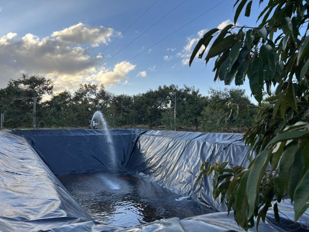 Bạt lót hồ nuôi cá Koi, tiểu cảnh HDPE