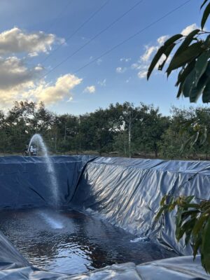 Bạt lót hồ cảnh quan, sinh thái trong công viên