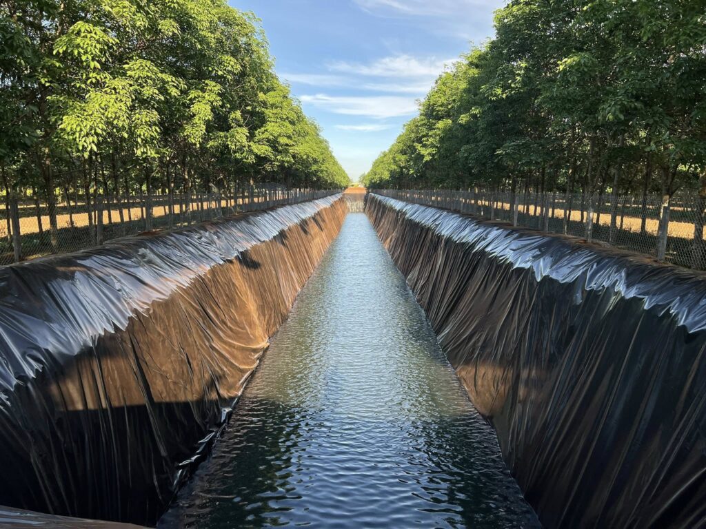 Bạt lót hồ chứa nước tưới cây HDPE