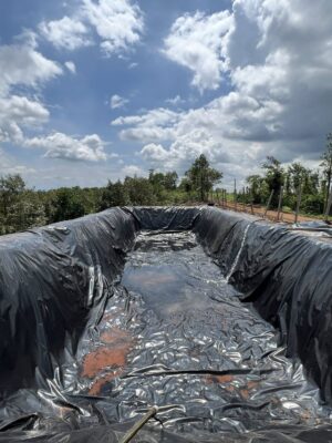 Bạt lót hồ nuôi cá Koi, tiểu cảnh HDPE