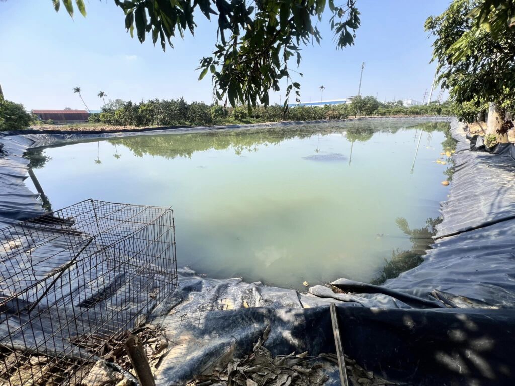 Bạt lót hồ cá Koi HDPE