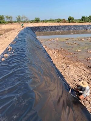 Bạt lót bờ ao HDPE