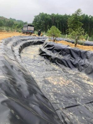 Bạt lót bờ ao mương kè dẫn nước HDPE
