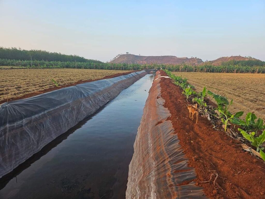 Bạt lót bờ ao mương kè dẫn nước HDPE