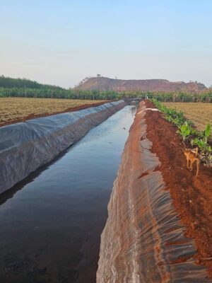 Bạt lót bờ ao mương kè dẫn nước HDPE