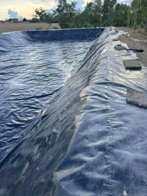Bạt lót bờ ao HDPE