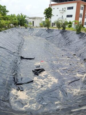 Bạt lót ao hồ nuôi tôm cá HDPE ở Ninh Thuận