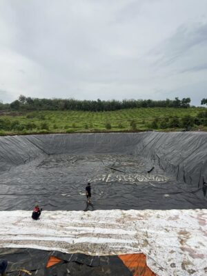 Bạt lót hồ chứa nước tưới cây HDPE ở Ninh Thuận