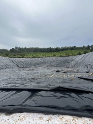 Bạt lót hồ chứa nước tưới cây HDPE ở Ninh Thuận