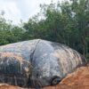 Túi Biogas 300 khối HDPE