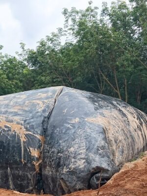 Túi Biogas 300 khối HDPE