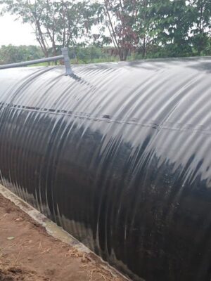 Sự ổn định của Biogas phụ thuộc hoàn toàn vào 