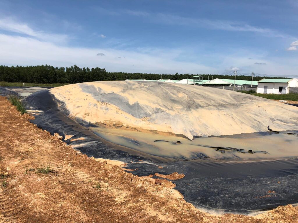 Thi công bạt nhựa HDPE lót hầm Biogas