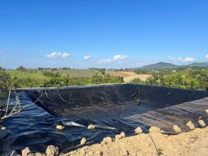 Bạt lót ao hồ HDPE chứa nước nuôi tôm cá ở Hồng Ngự