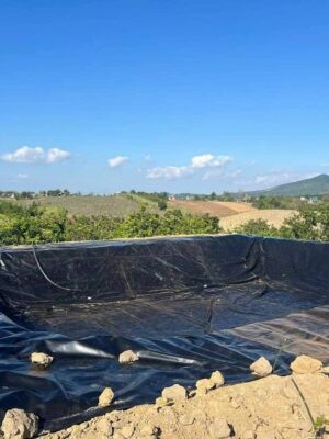 Bạt lót hồ nuôi tôm HDPE ở Ninh Thuận
