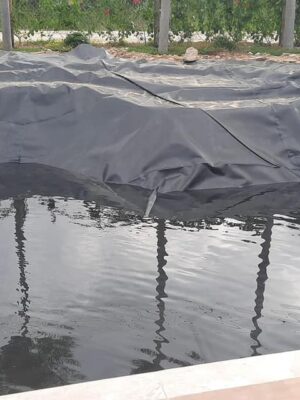 Bạt nhựa HDPE dày 0,3mm lót hồ nuôi cá