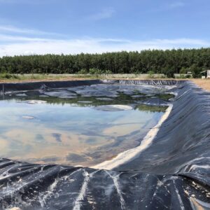 Bạt hdpe dày 0,3mm lót ao hồ