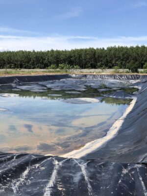 Bạt lót ao hồ HDPE chứa nước nuôi cá ở Lâm Đồng