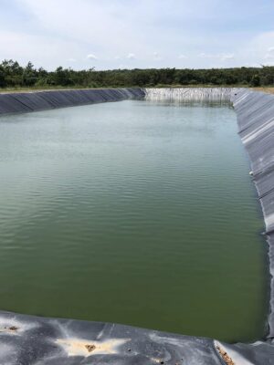 Bạt lót hồ nuôi cá HDPE