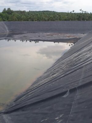 Bạt lót hồ nuôi cá HDPE