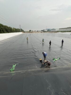 Cách xử lý vệ sinh ao lót bạt HDPE sau mỗi vụ thu hoạch hiệu quả