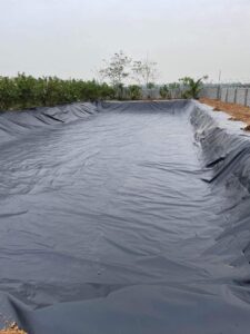 Bạt lót ao hồ HDPE chứa nước nuôi tôm cá ở Đức Hòa Bạt lót ao hồ HDPE chứa nước nuôi tôm cá ở Đức Hòa