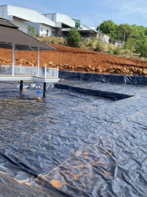 Bạt lót hồ cảnh quan HDPE
