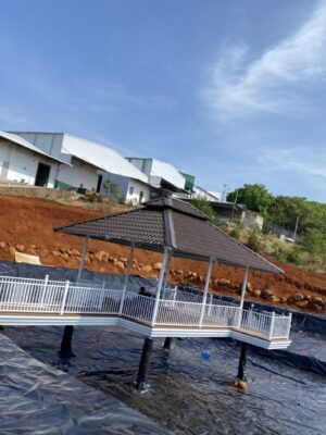 Bạt lót hồ cảnh quan HDPE