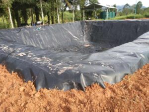Bạt lót ao hồ HDPE chứa nước nuôi tôm cá ở Lai Vung