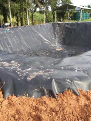 Bạt lót hồ nuôi cá Koi, tiểu cảnh HDPE
