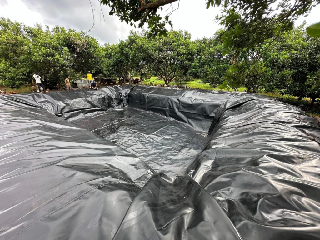 Màng bạt HDPE lót hồ cảnh quan, sân vườn