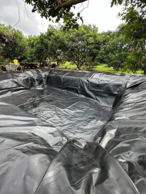 Màng bạt HDPE lót hồ cảnh quan, sân vườn