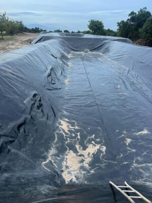 Bạt lót ao hồ HDPE chứa nước nuôi tôm cá ở Đắk Nông