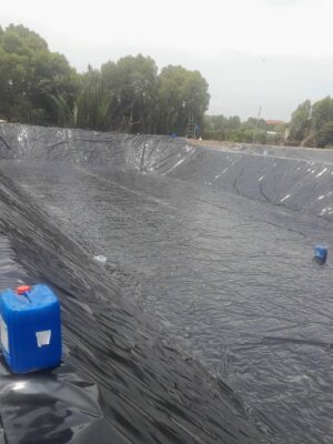 Bạt lót ao hồ HDPE chứa nước nuôi tôm cá ở Đắk Nông