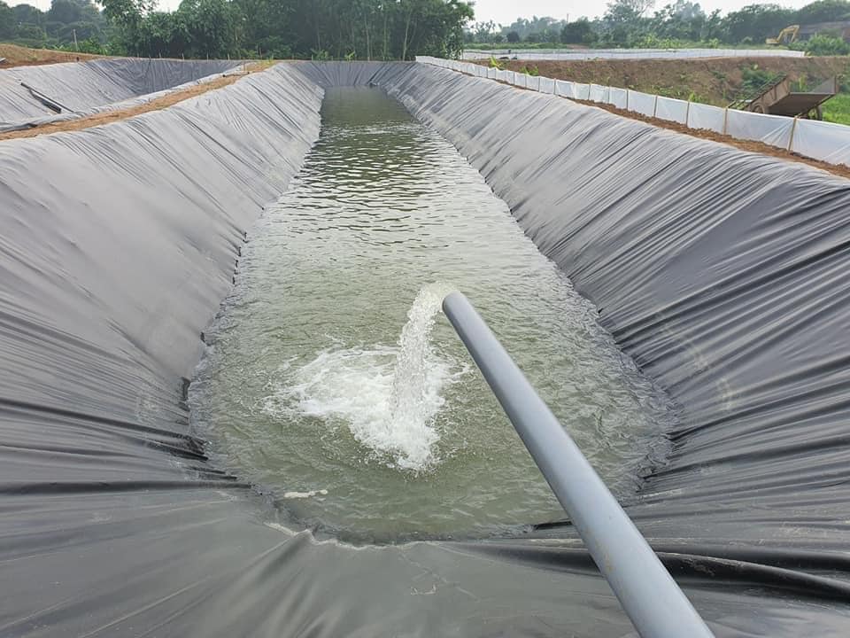 Bạt lót hồ chứa nước tưới cây HDPE ở Bình Định Bạt lót hồ chứa nước tưới cây HDPE ở Bình Định
