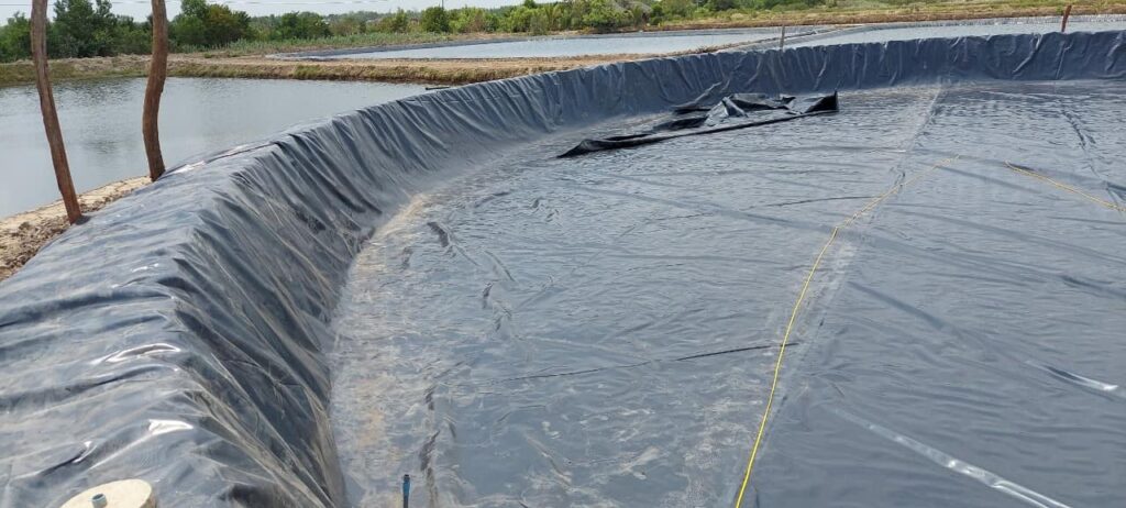 Bạt lót ao hồ HDPE chứa nước nuôi tôm cá ở Long Khánh Bạt lót ao hồ HDPE chứa nước nuôi tôm cá ở Long Khánh