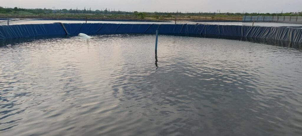 Bạt hdpe dày 0,75mm lót hồ chứa nước