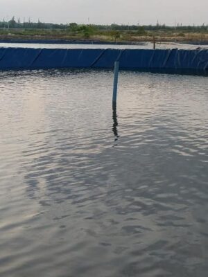 Bạt hdpe dày 0,75mm lót hồ chứa nước