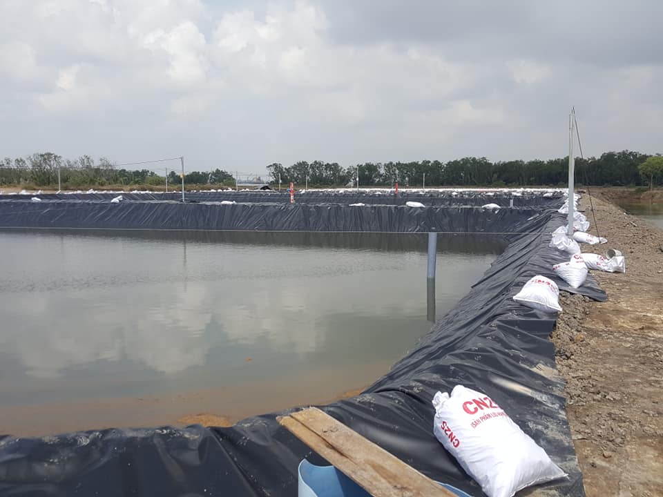 Bạt nhựa HDPE lót ao nuôi cá Bạt nhựa HDPE lót ao nuôi cá