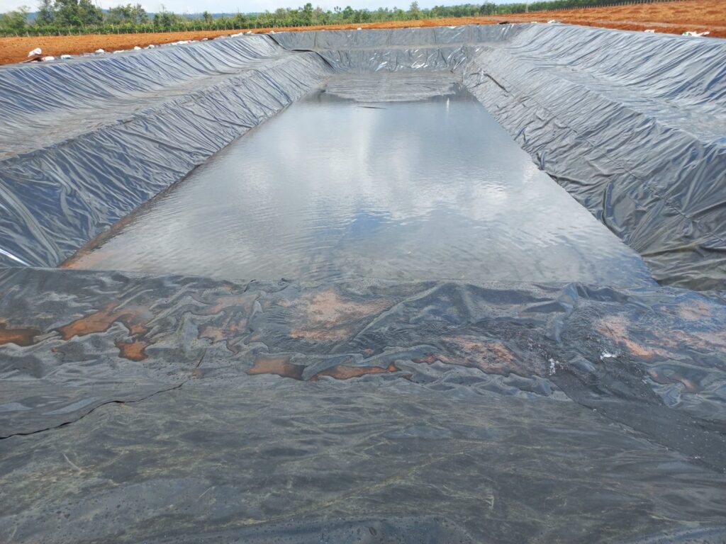 Bạt lót ao hồ HDPE chứa nước nuôi tôm cá ở Cần Giuộc Bạt lót ao hồ HDPE chứa nước nuôi tôm cá ở Cần Giuộc
