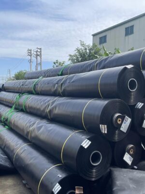 Bạt chống thấm HDPE khổ bạt 8m