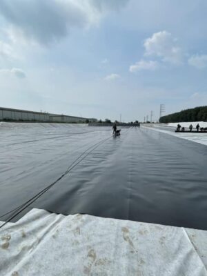 Thi công bạt HDPE lót hồ nuôi tôm